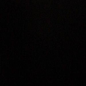 Meet your Posher, Salvador